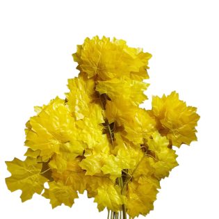 yellow maple leaves