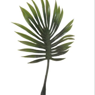 pvc small china palm