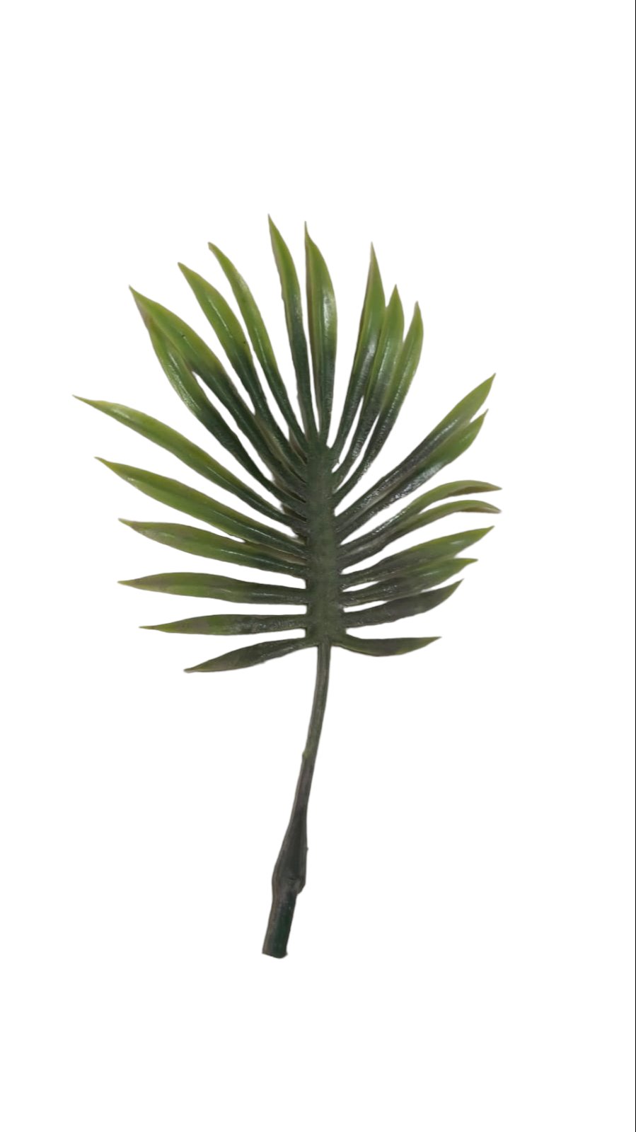 pvc small china palm