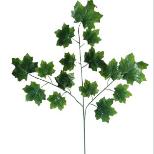 green maple leaves