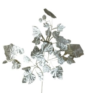 silver maple leaves