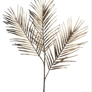 golden Erica palm leaves