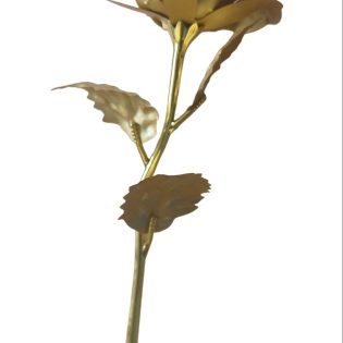 golden rose stick