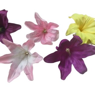 lilly heads