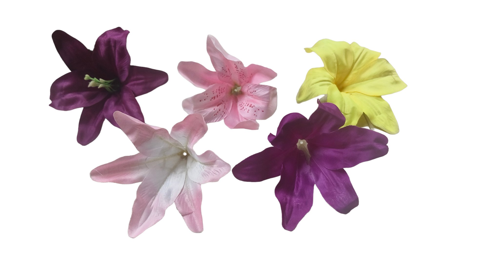 lilly heads
