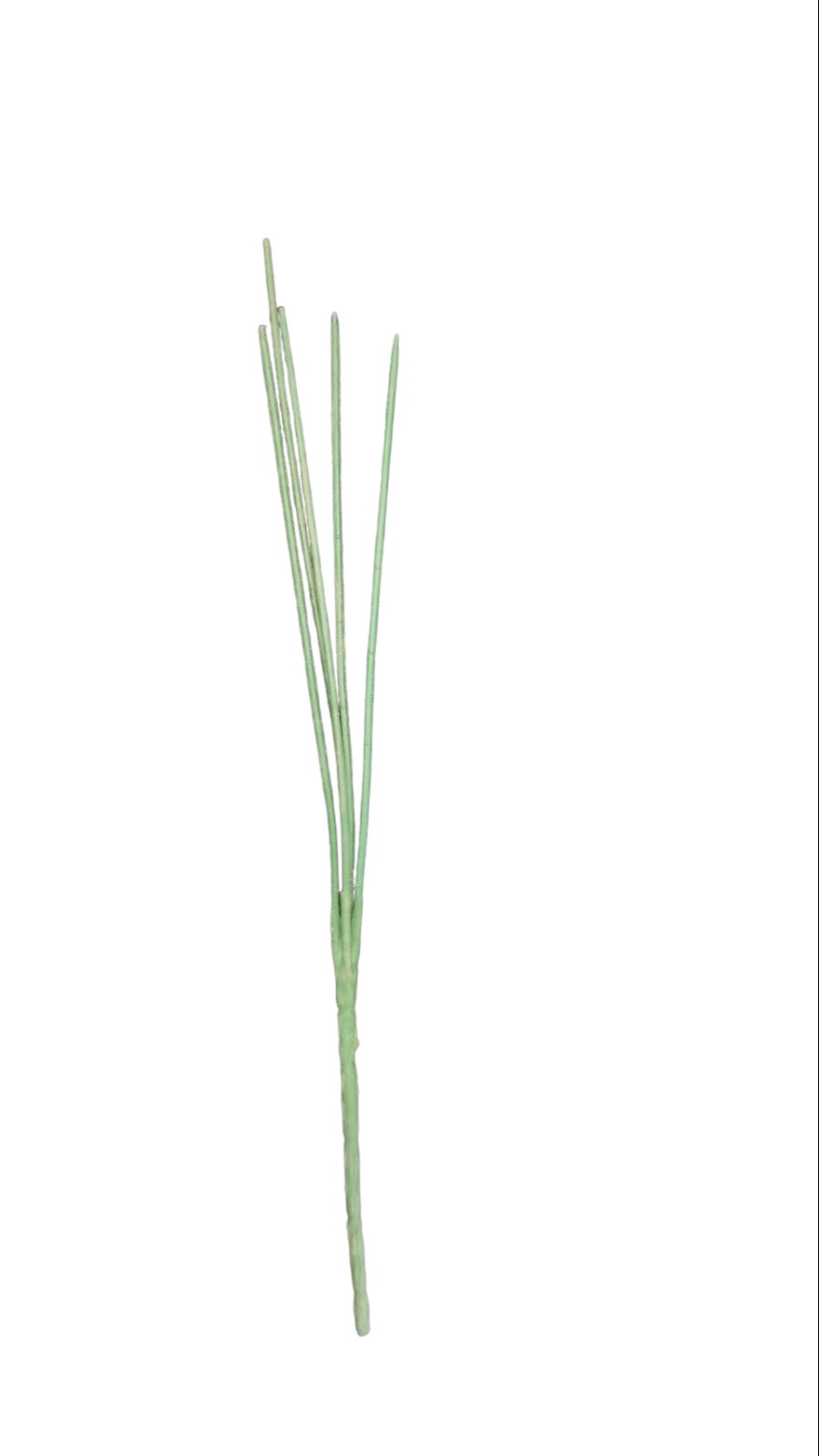 5/ plain stick for making bunches