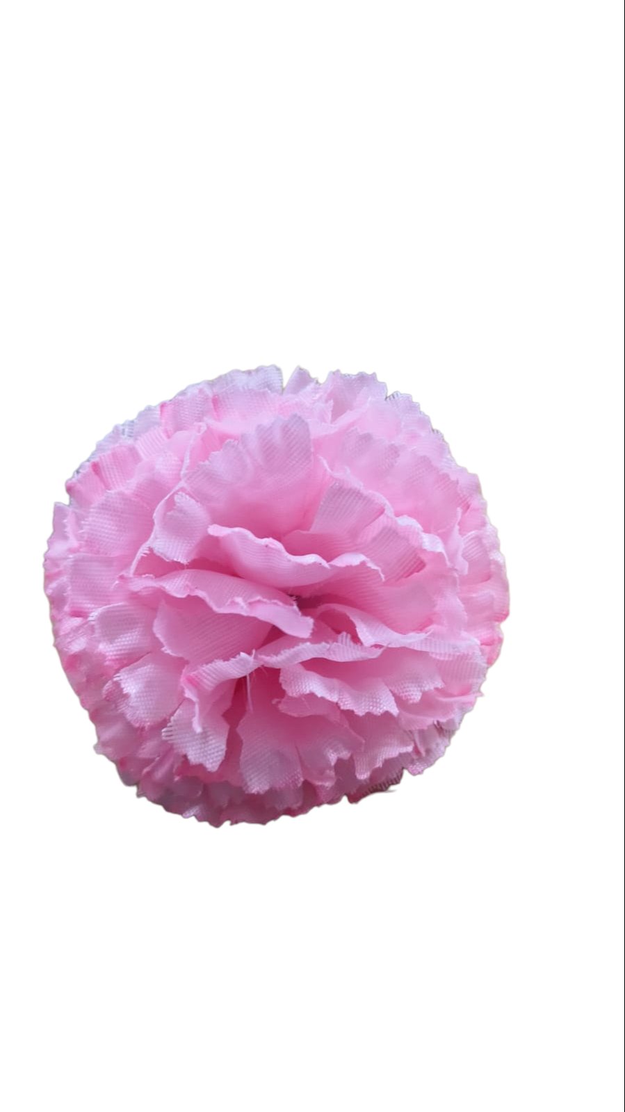 carnesion flower - Image 2