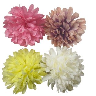 big crusnthemum flower