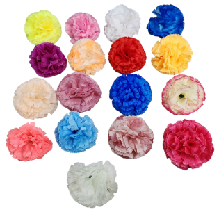 carnesion flower