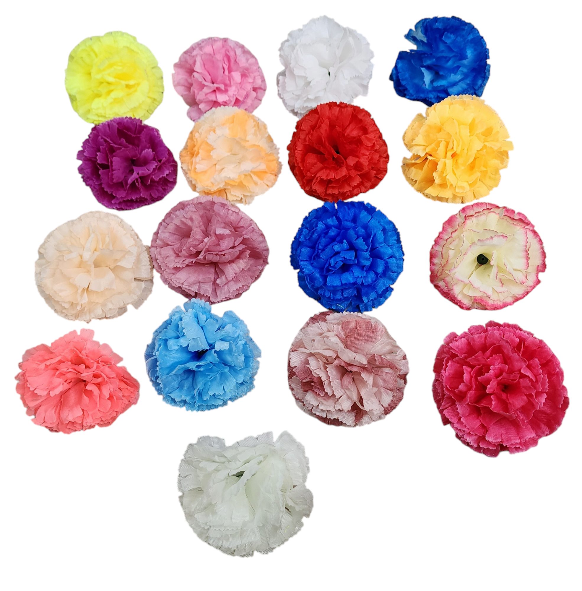 carnesion flower