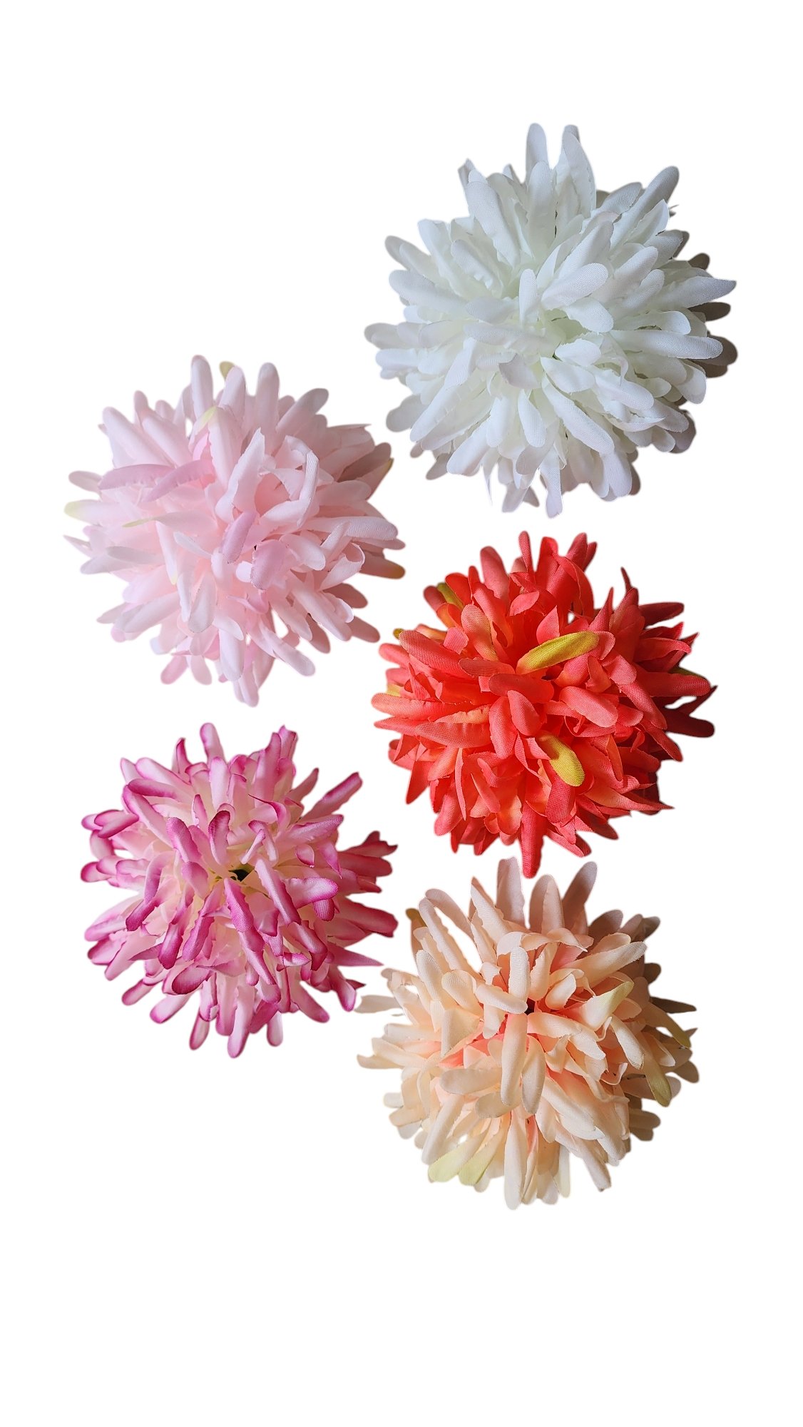 crysenthermum