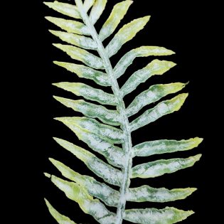 pvc fern fillers