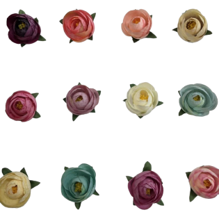 peonies flower