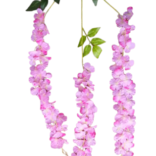 westeria hanging