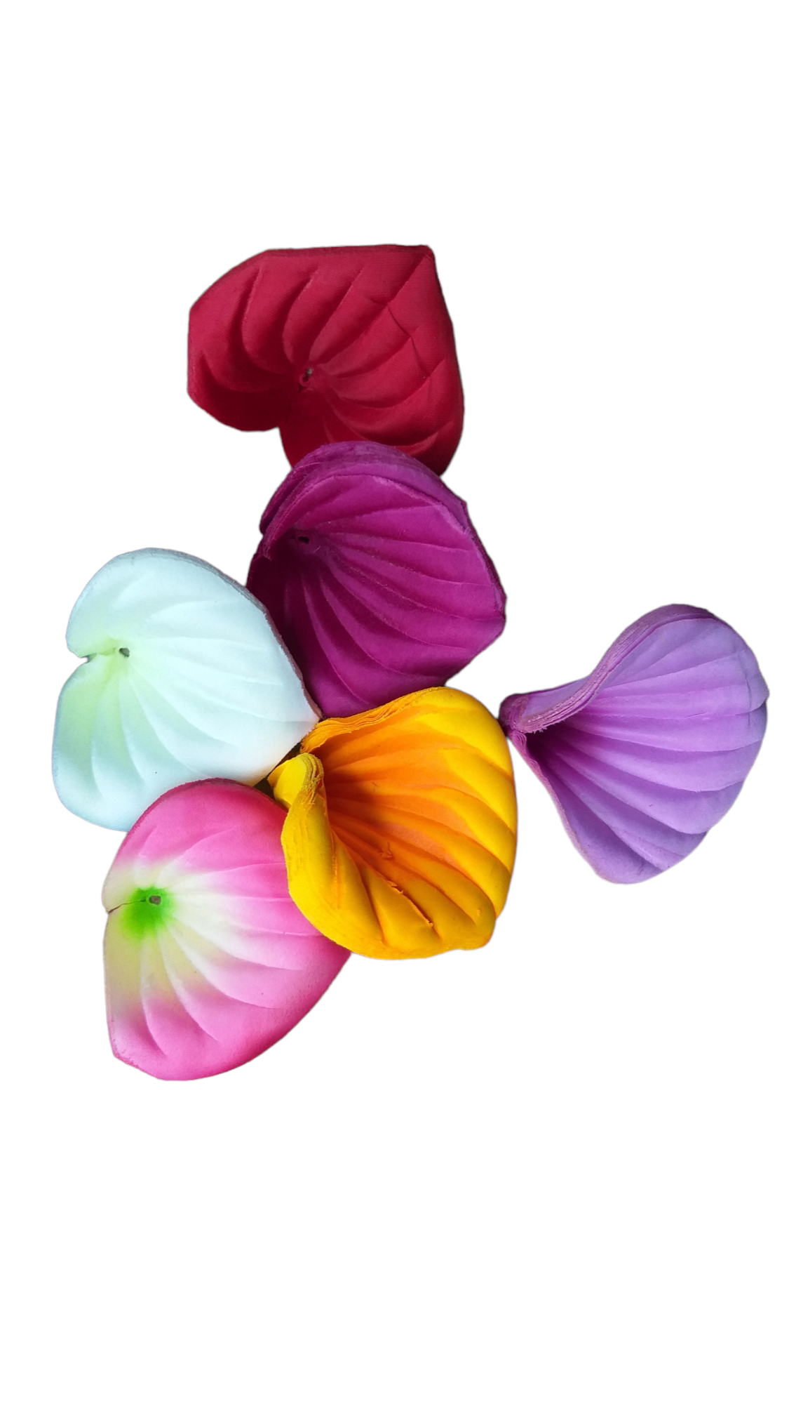 calla lilly