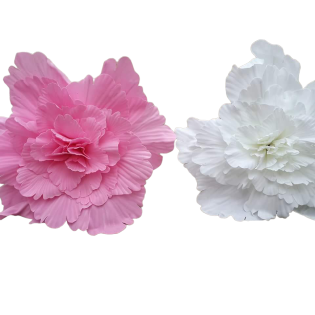 big foam carnesion flower