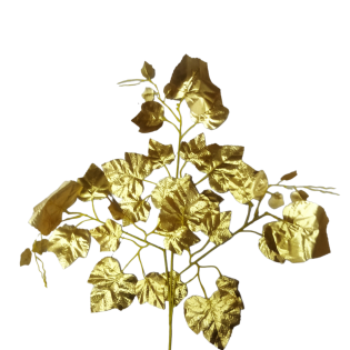 golden maple leaves