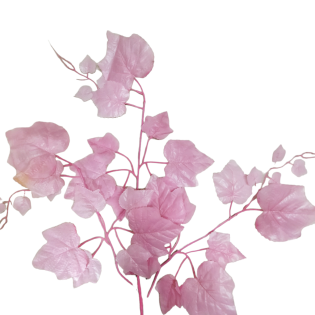 pink maple leaves