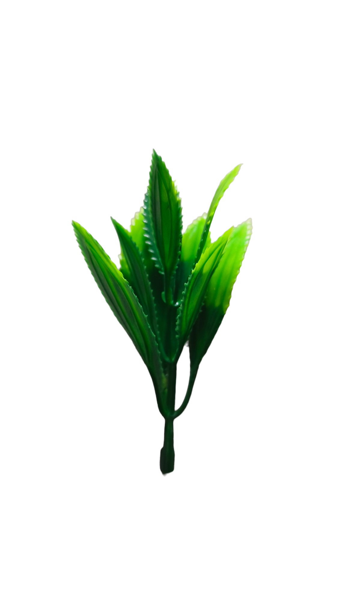 green filler
