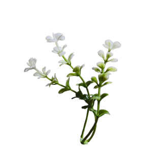 white/green filler