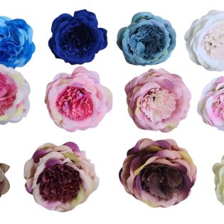 peonies regular 2.5 inches size