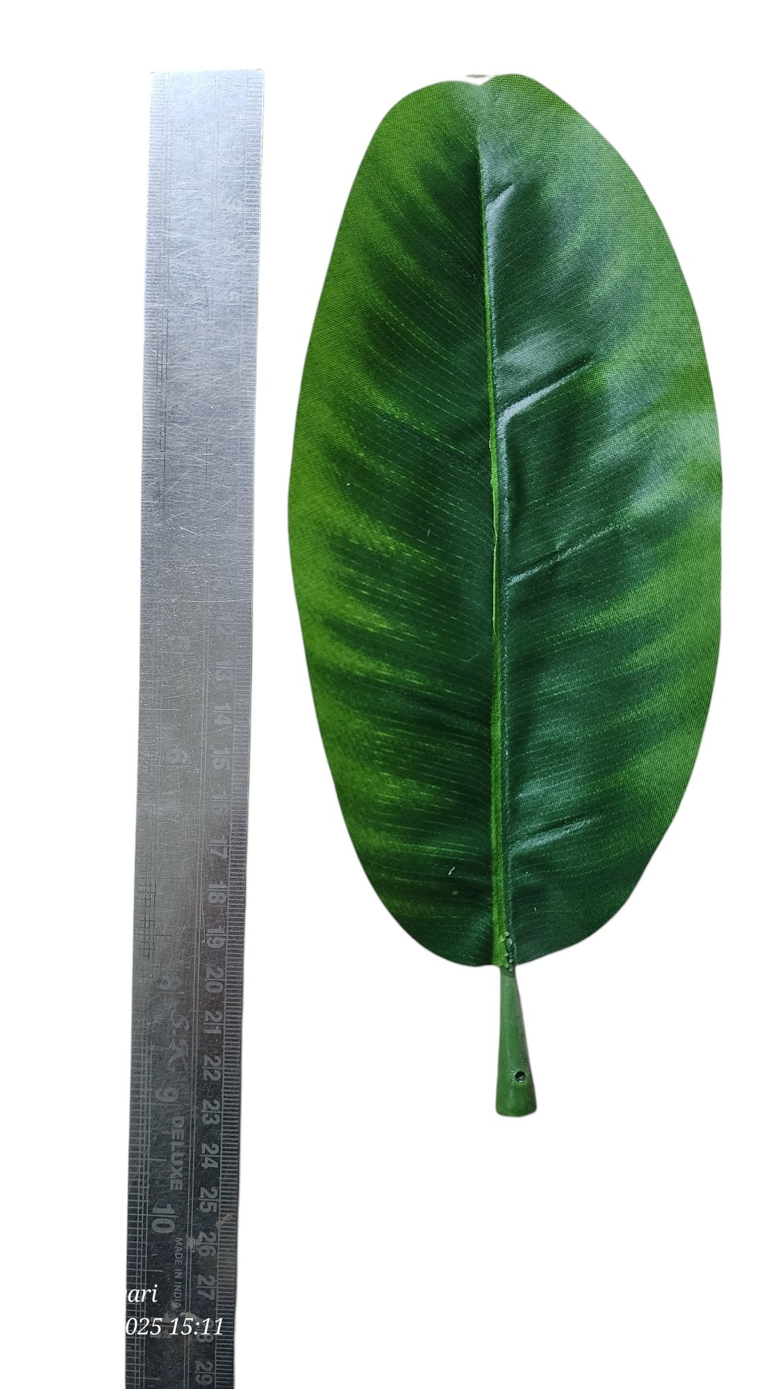 big leaf